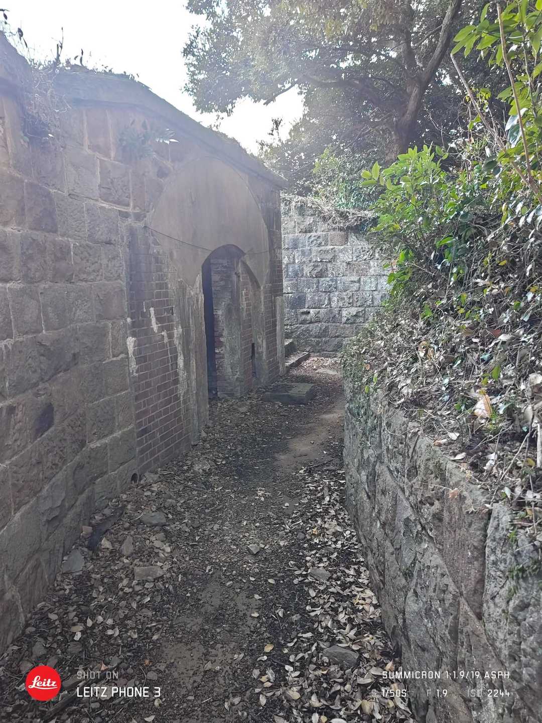 姫神山砲台跡-姫神山 往復コースの写真