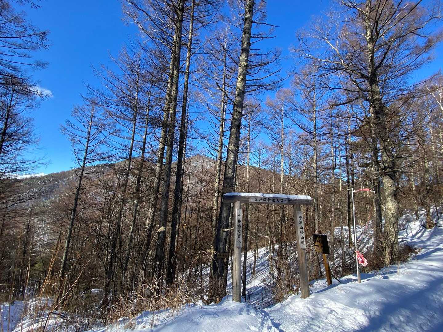 守屋山登山道入口（杖突峠）-守屋山 往復コースの写真