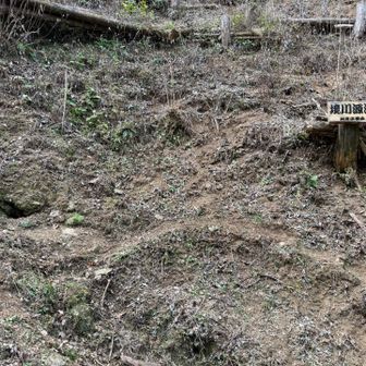 境川源流に到着