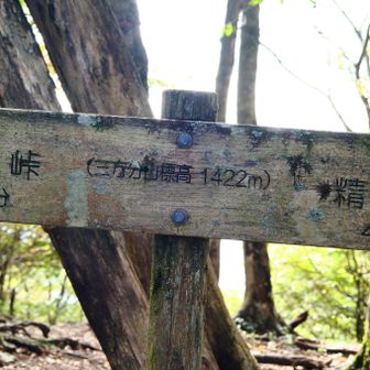 標高1422m