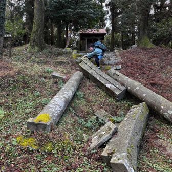 パワーアップしたので鳥居戻せるか‼️
…ってそれは流石に無理ありました🤣