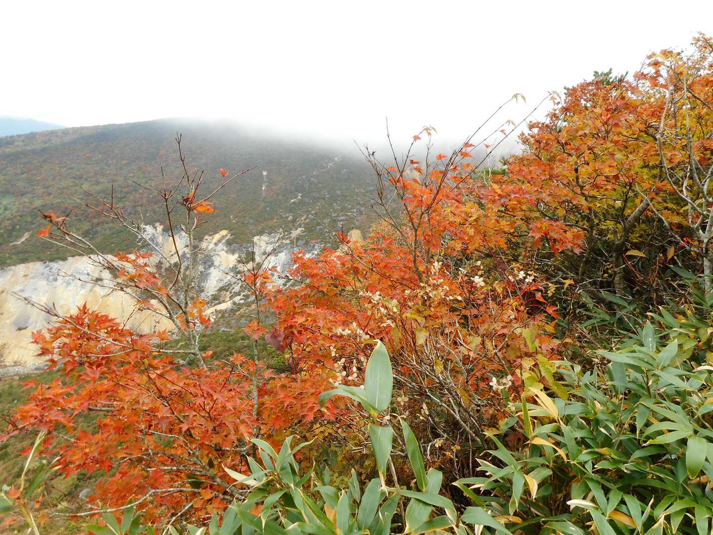 沼尻登山口-041_湯の花採取場 周回コースの写真