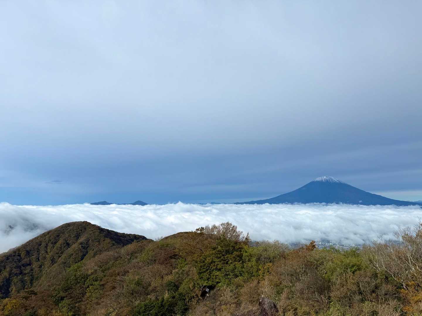 雲海とは運がいい
