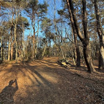 降りてきました