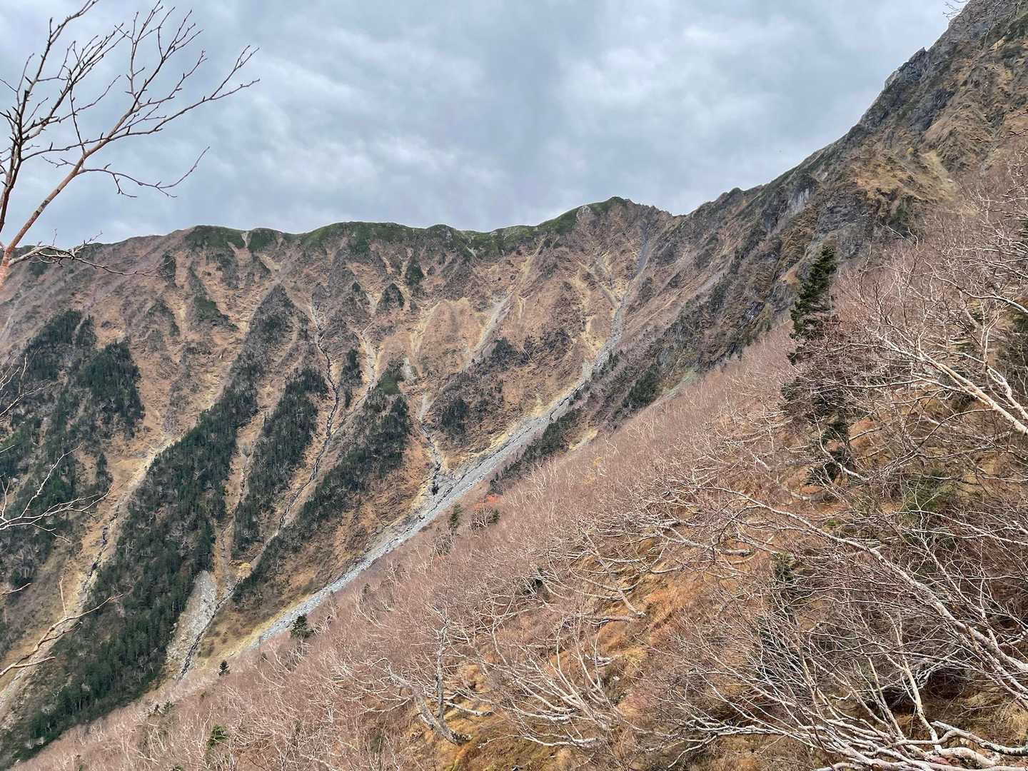 草すべりを降りながら、八本齒のコル方向見ると随分な傾斜で、あんなところよく登ったなとびっくり。往路は夢中で登ってたので気づかなかった。
雷鳥沢から大走りに登ったのと似てるかな。