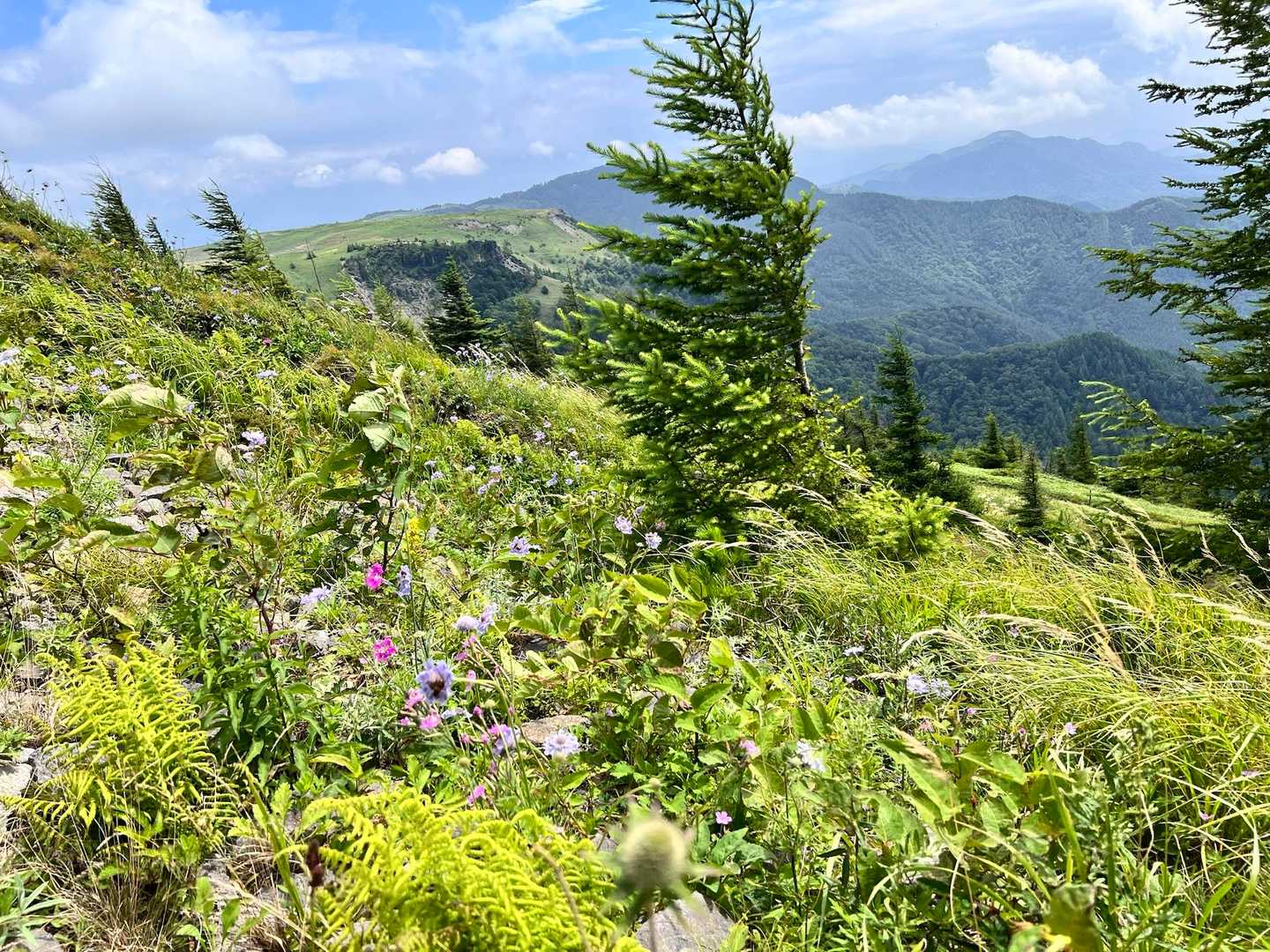 美ヶ原ハイキング道入口-牛伏山-山本小屋登山口-美しの塔- 往復コースの写真