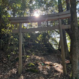 どこからか踏み跡を見失ったがちょうど鳥居の前にて復帰