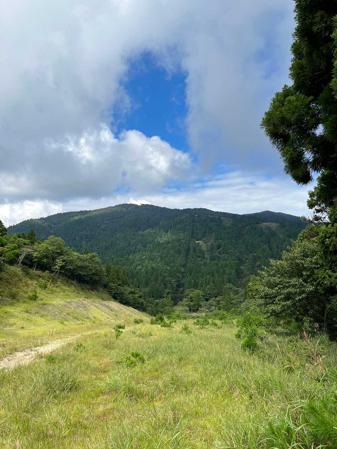 急に開けて草原のような斜面に出ました😊正面の右奥が武奈ヶ岳頂上です🥰頂上からもよく見えました