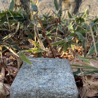 四等三角点　音調津