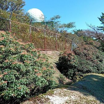 フェンスの間近まで来ました。ドーム内の空調でしょうか、コンプレッサーが回っているような機械音が聞こえます。フェンス手前は綺麗に刈り込まれていて…背中側に振り返れば、青山高原の風車群が並んで見えていて…お弁当ポイントと言えます🤗。