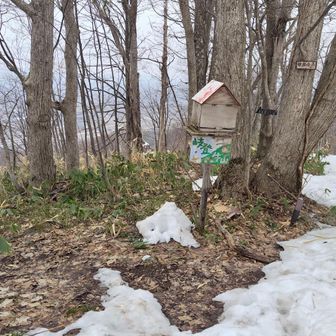 トトロの跡形がちょこっと