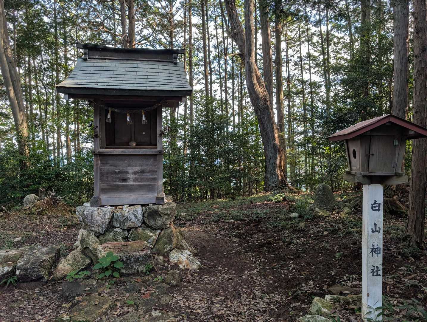 白山神社⛩️