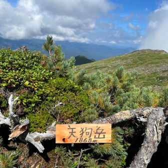 途中に標識あり👺🪧

ここ素通りでもピーク取れるから
わざわざ岩場登る人少ないのかな？