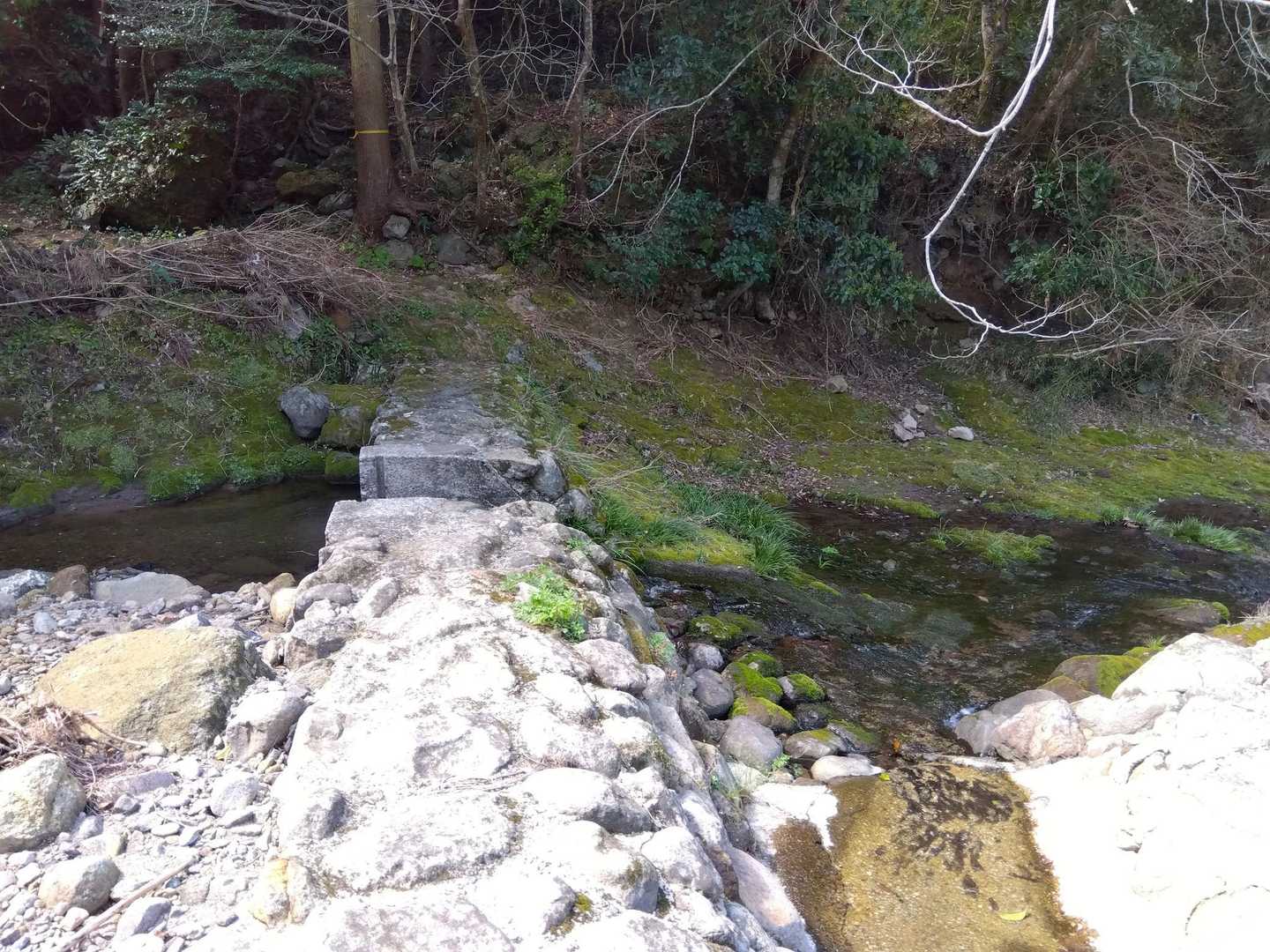 堰堤を進みます。