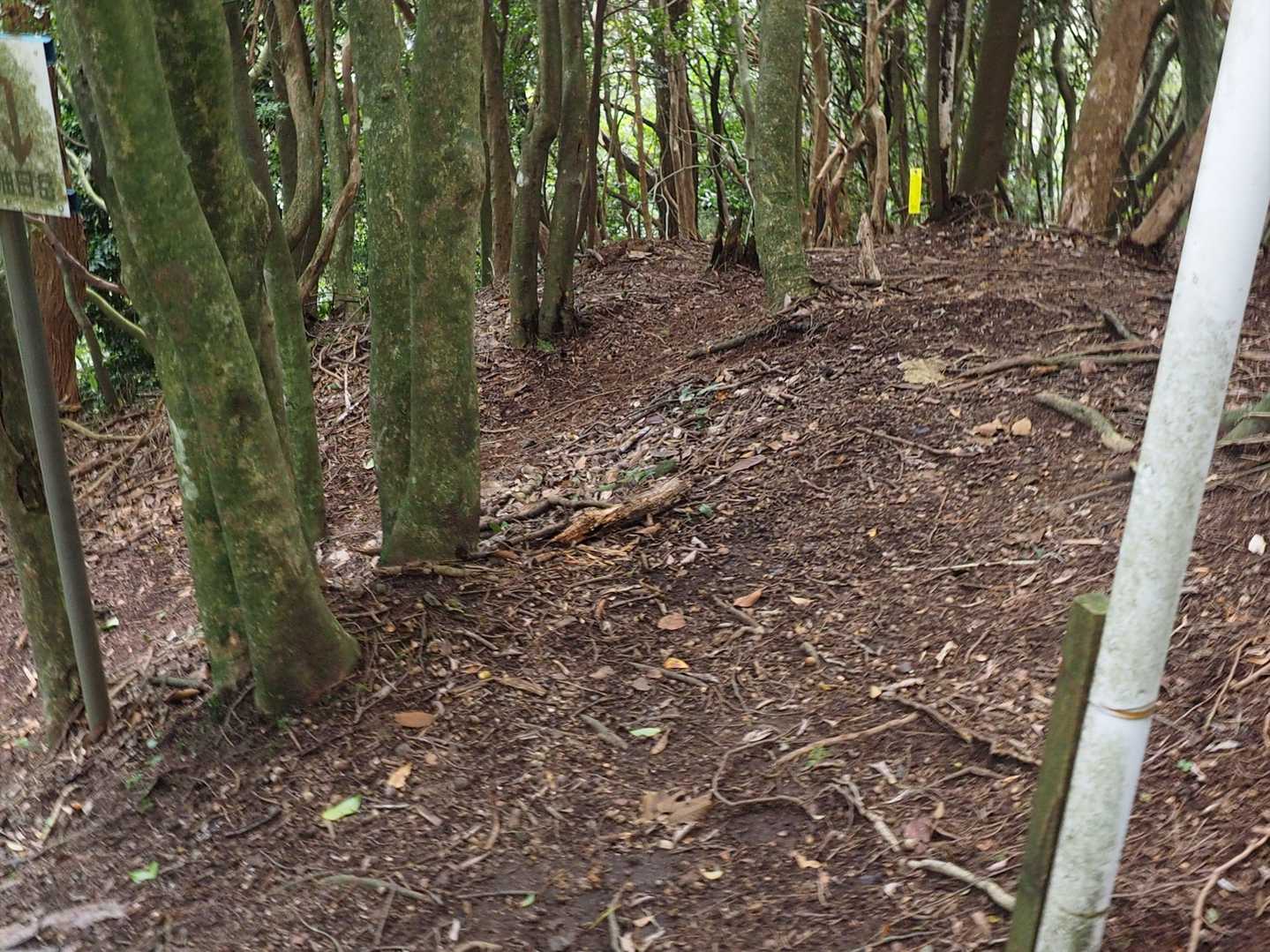 すなわち左折路を下る。
