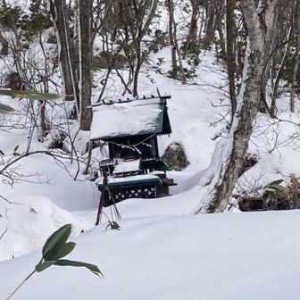 無事に降りてこられました．ありがとうございます．