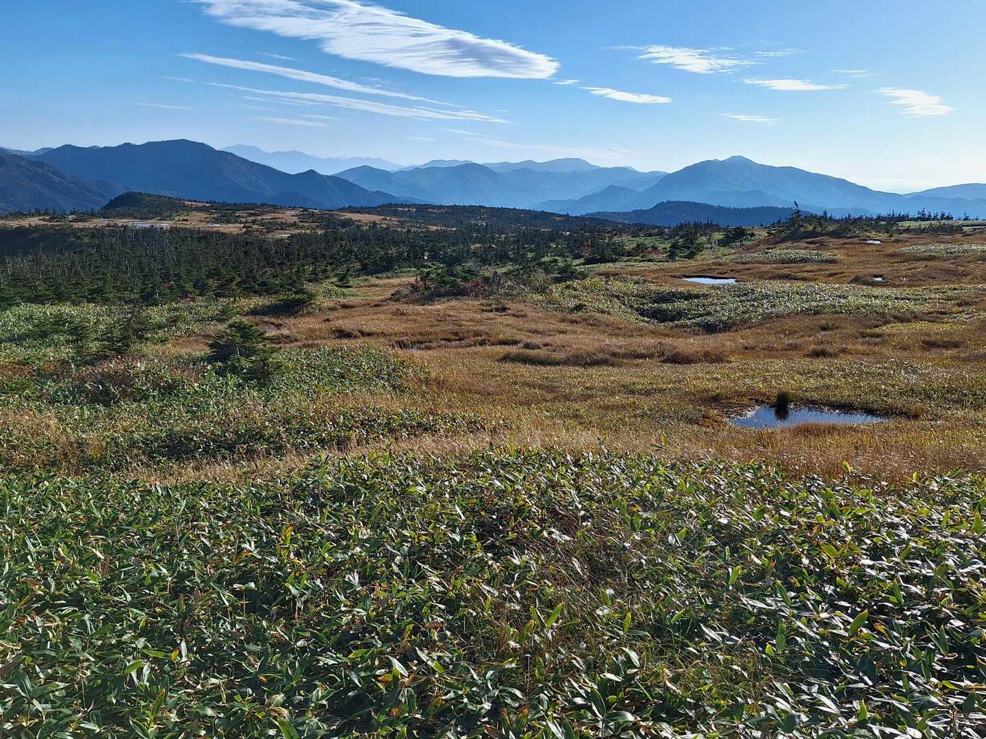苗場山山頂湿原✨
遠くには八ヶ岳や南アルプス