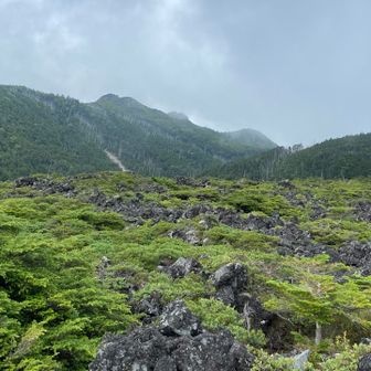 三ツ岳方面
もう少し息子が成長したら歩きたい