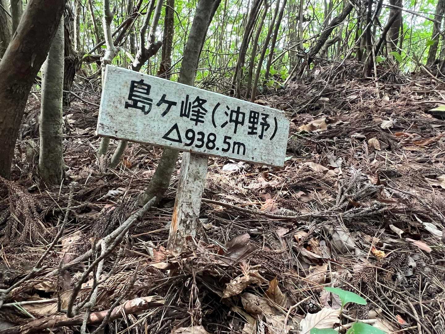 剣山-島ヶ峰 往復コースの写真