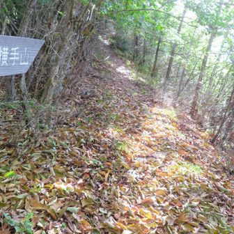棚横手山へ