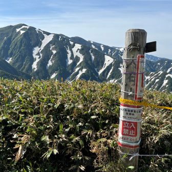 大石山。今年はクローズ