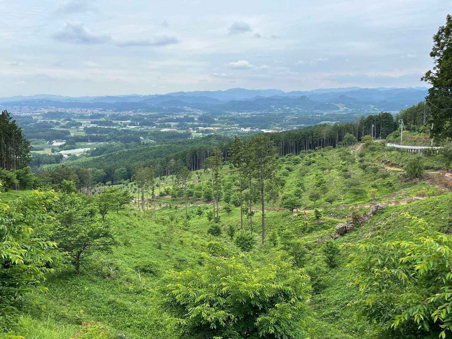 自然と人工がミックスされてるようで不思議な空間でした、晴れてれば富士山🗻が見えると地元の方が言ってたがこちら方面かな