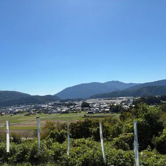 盆地であることを体感する