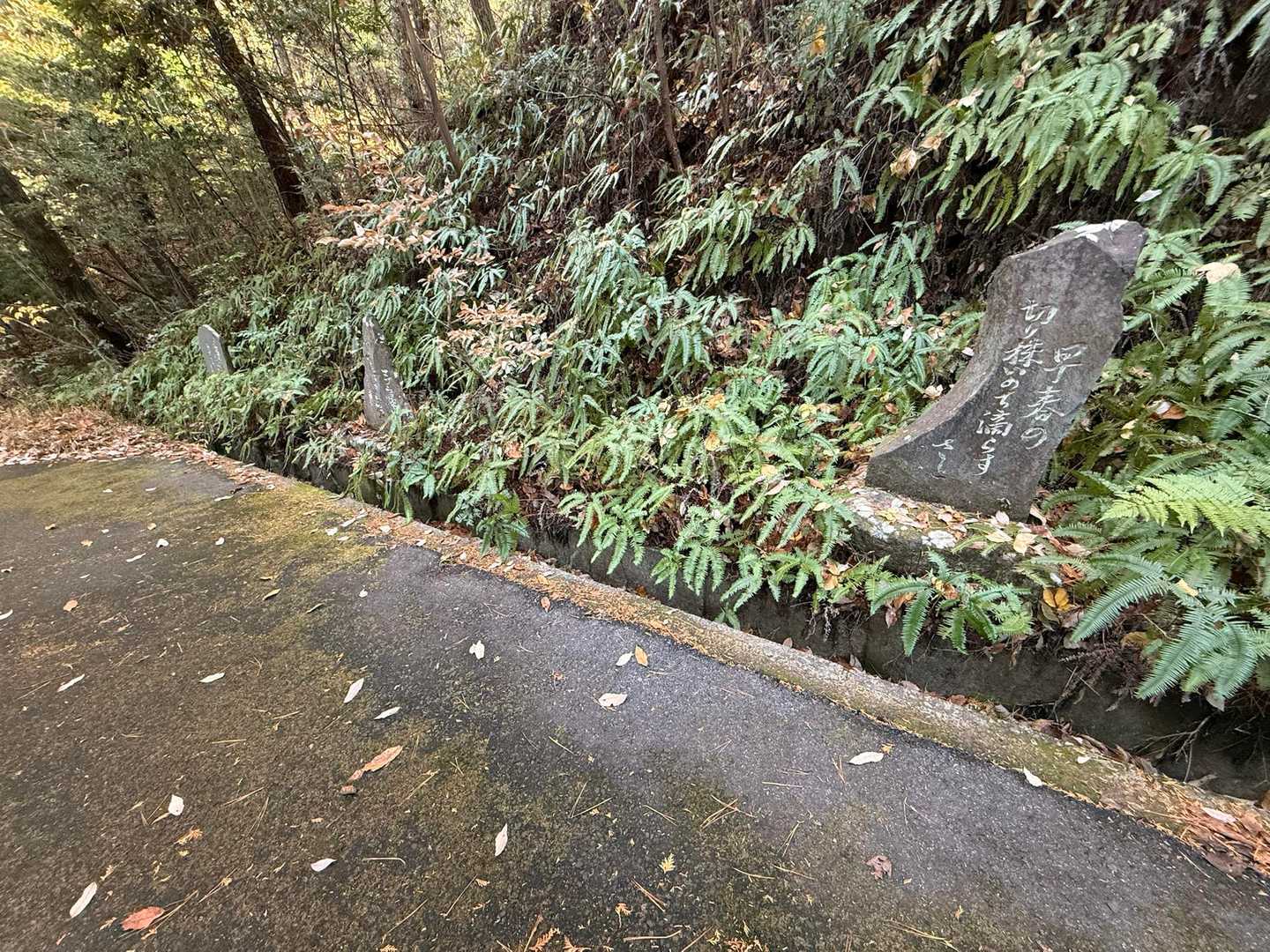 舗装路脇にも、献石というか、碑が立ち並ぶ🪨
