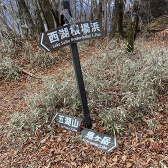 どっと疲れたわ💦