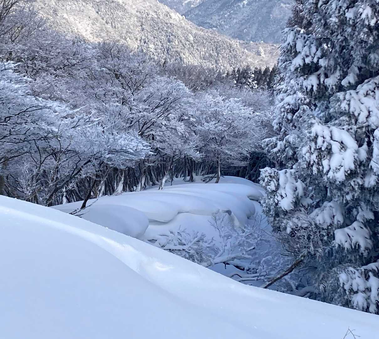 雪庇❄️
生クリームにしか見えない🤤