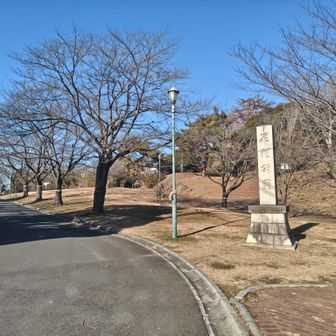 足利公園に入る