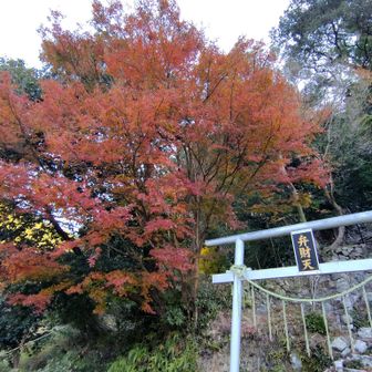 色があると嬉しい