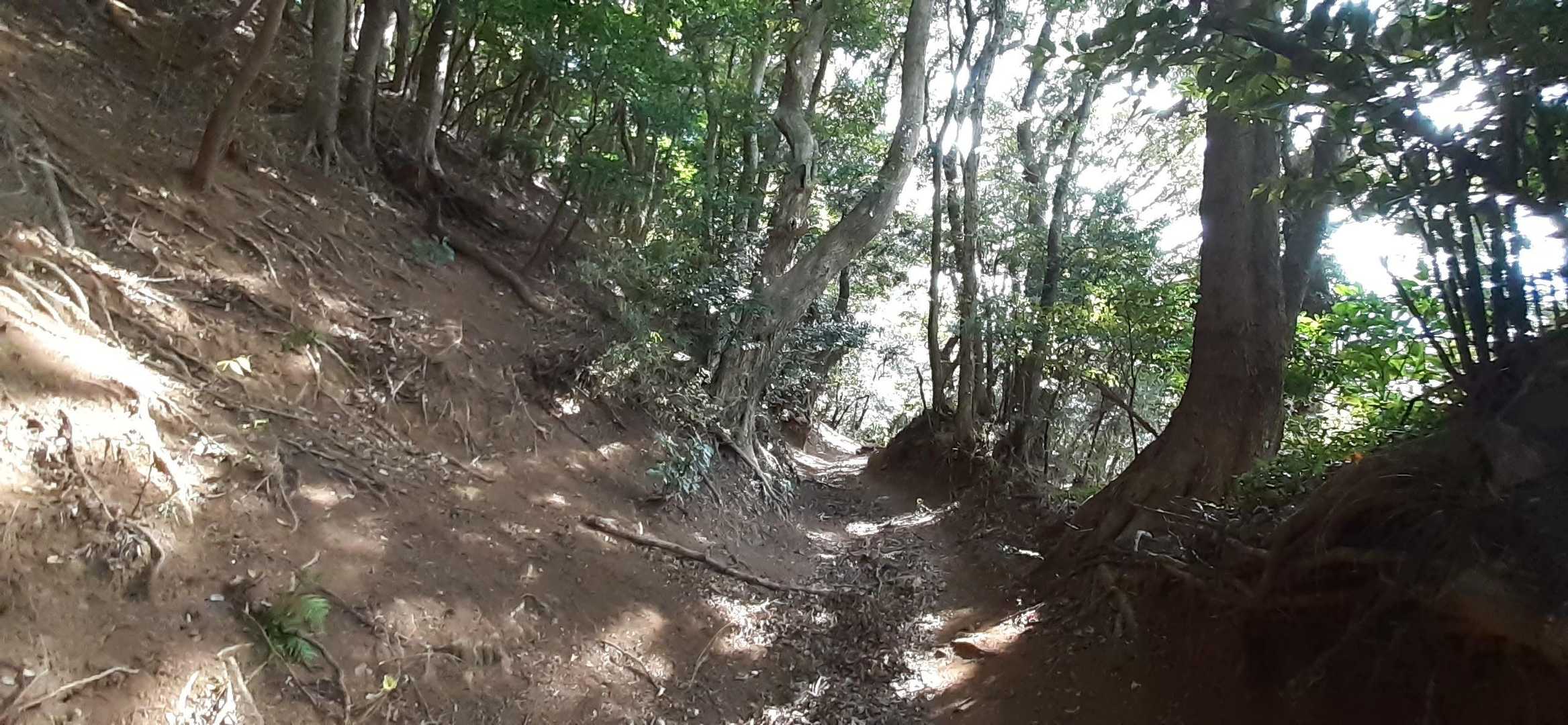 こちらは山路らしくなる