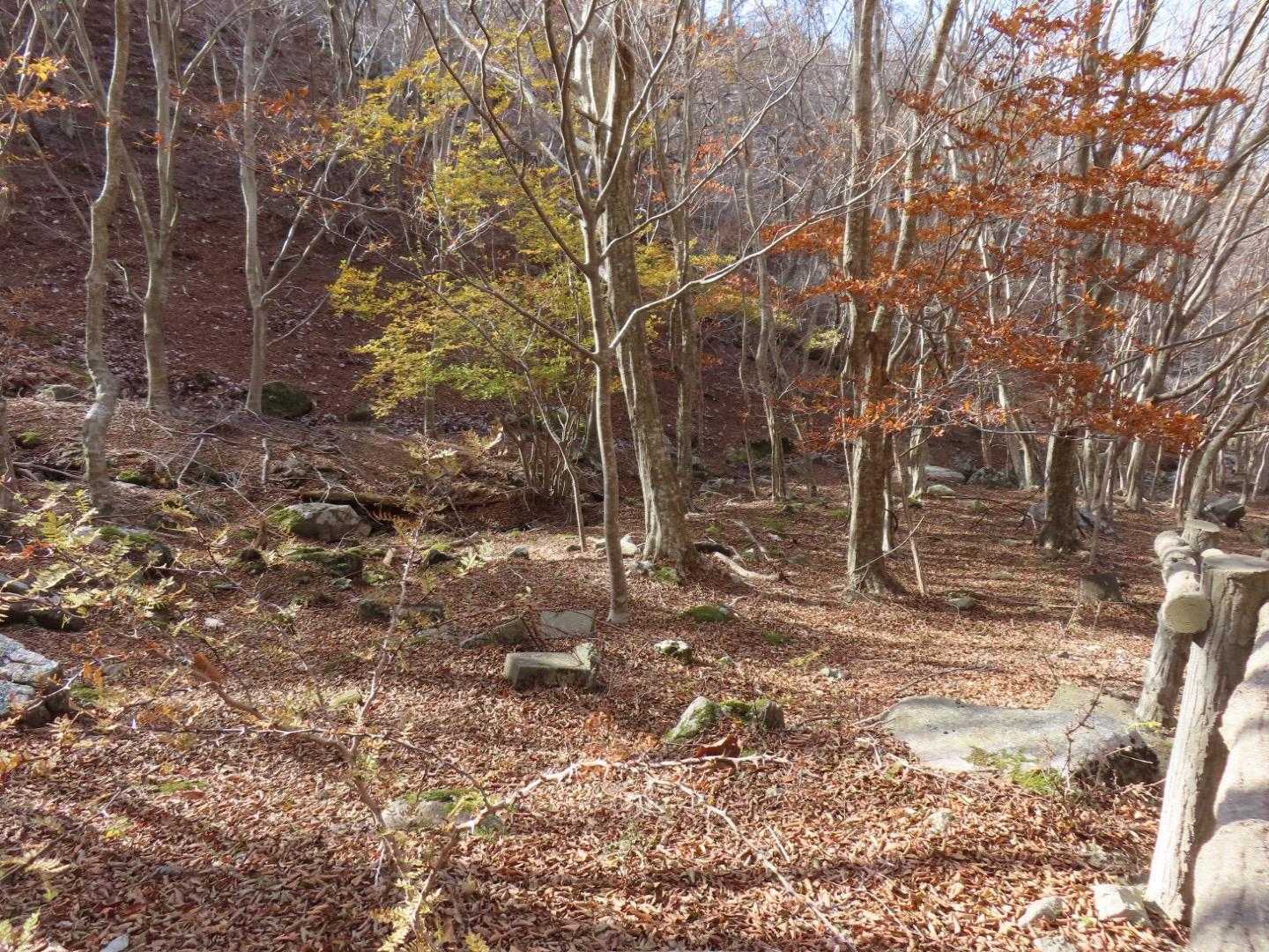 鹿山-金華山 周回コースの写真