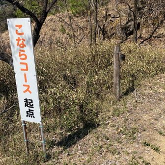 ここから大谷山までは、こならコースと城跡コースを歩きます。
まずは、こならコースに突入です。👉