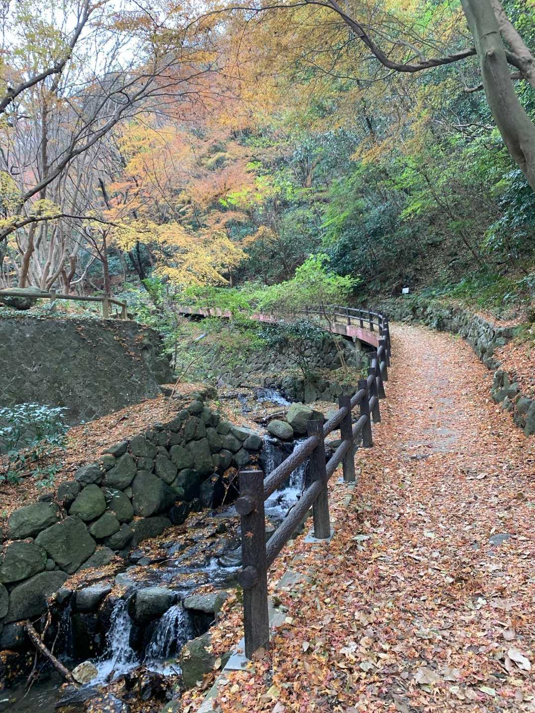 神津嶽 往復コースの写真