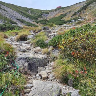 宝剣山荘が見えた！
頑張って登る🥾