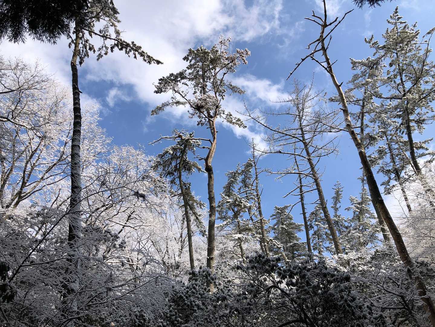 青空が見えてきました(๑´ㅂ`๑)  
写真では伝わらないですが、すごく綺麗でした✨