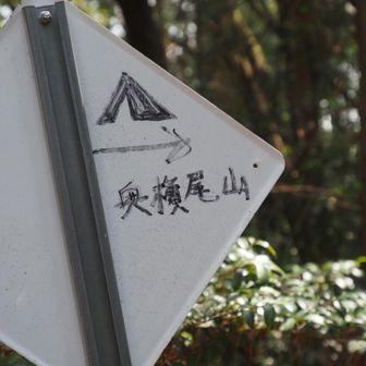 YAMAPマークが手書きで😆