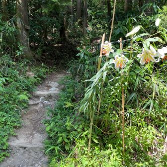 青崩を下山