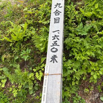 だそうで💦