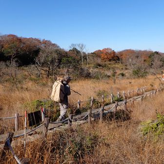 土や木の根を背負子で運ぶ。