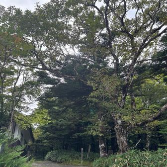 到着