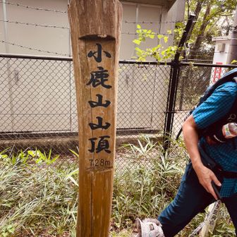 なんやかやで頂上へ