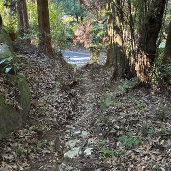 大将陣の手間で更に秘密のルート㊙️