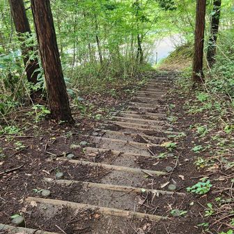 下山の階段が雨で滑って降りにくい😱
駐車場が見えました
今日はこれでおしまい🙇
