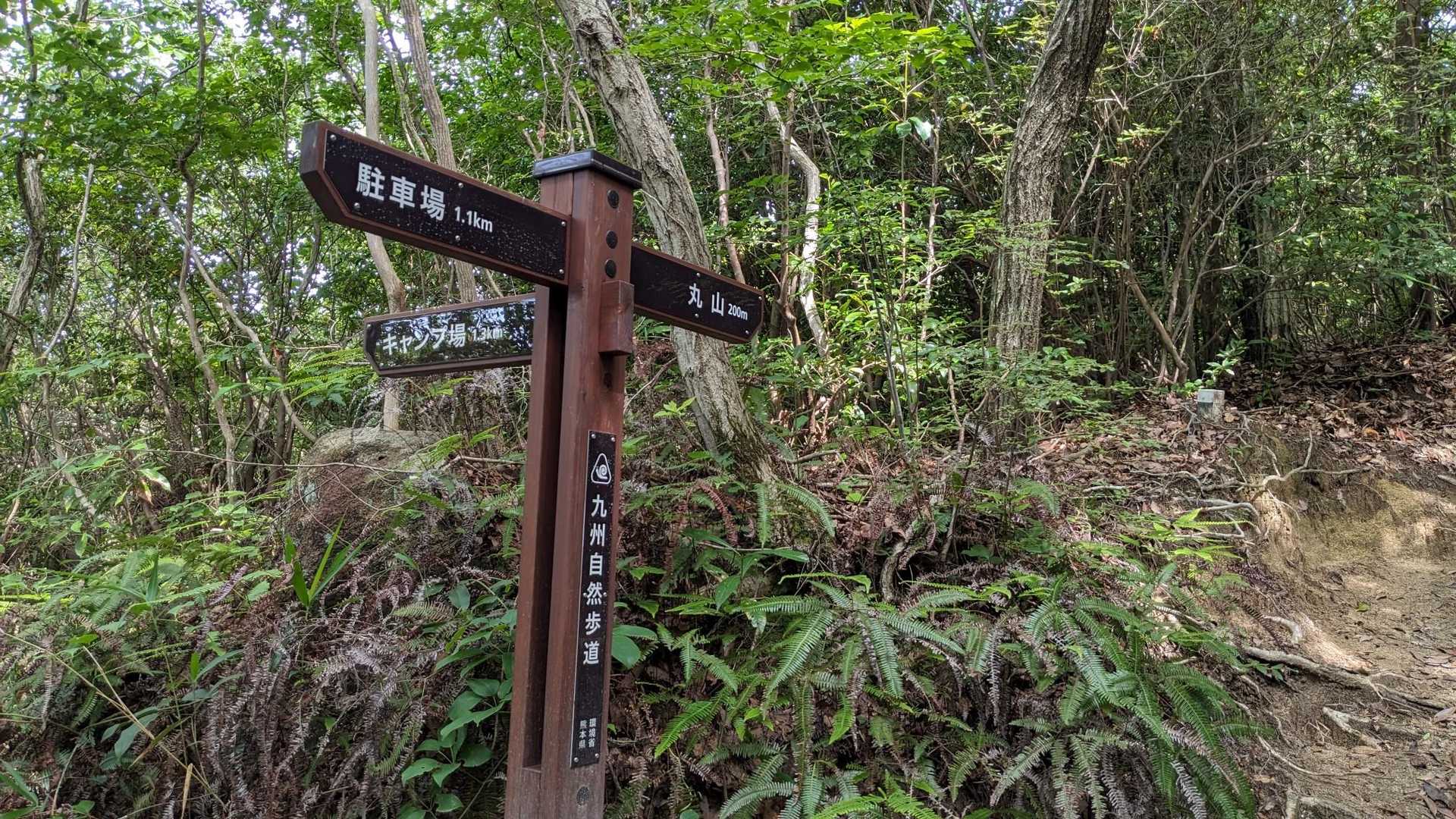 ここから階段を登った先が丸山です