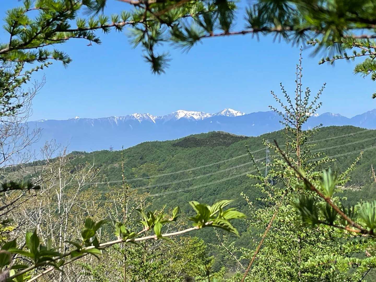 すずらん昆虫館前バス停-牛奥ノ雁ヶ腹摺山-小金沢山 往復コースの写真