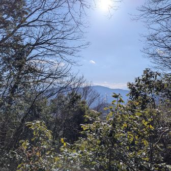 はす向かいの山は高尾山か小仏城山か