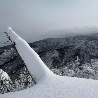 これにも標識なかったっけ🤔
埋もれただけかな